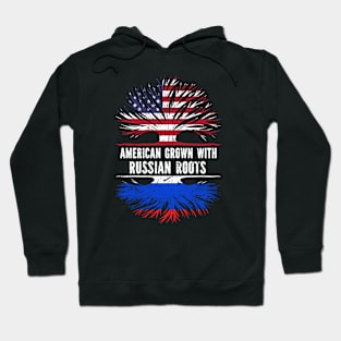 American Grown with Russian Roots USA Flag Hoodie